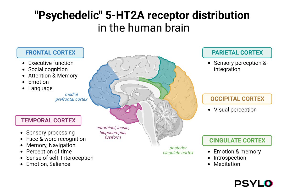 Psylo Newsletter - March 2023