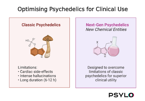 Psylo Newsletter - April 2022