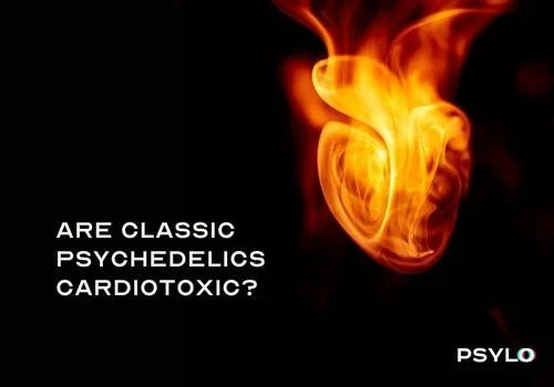 Psychedelic Science Newsletter - September