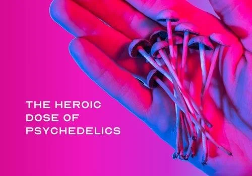 Psychedelic Science Newsletter - July
