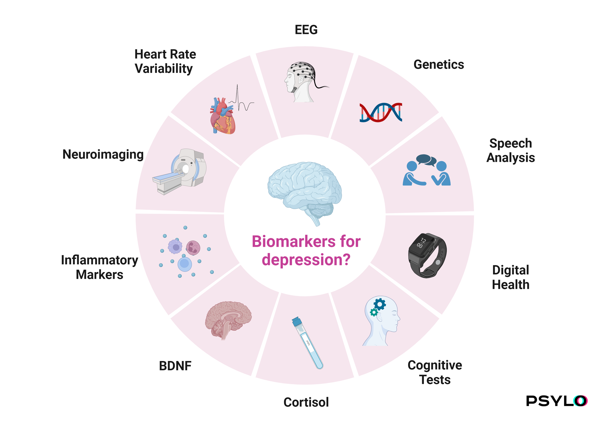 Psychedelic Science Newsletter - November
