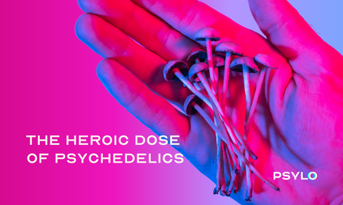 Psychedelic Science Newsletter - July