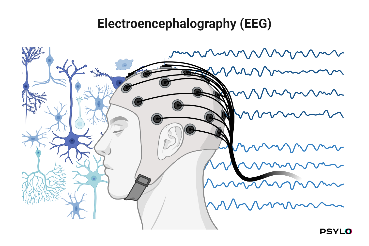 Psychedelic Science Newsletter - 2024 February